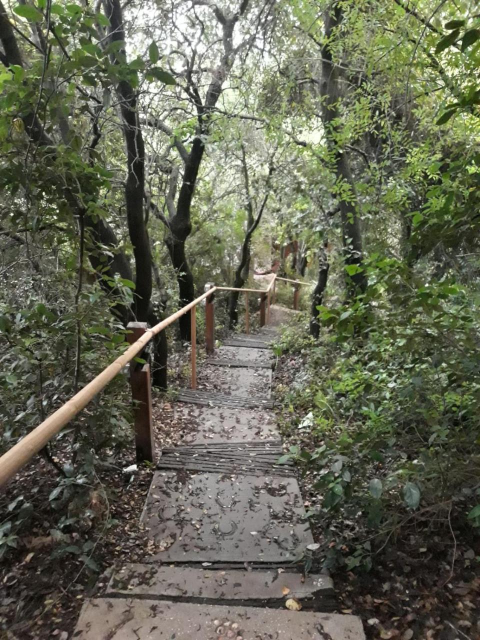 Willa פסגת מתת Pisgat Mattat Zewnętrze zdjęcie